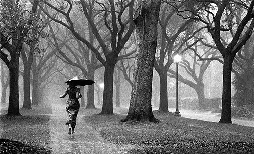 Rain And Girl