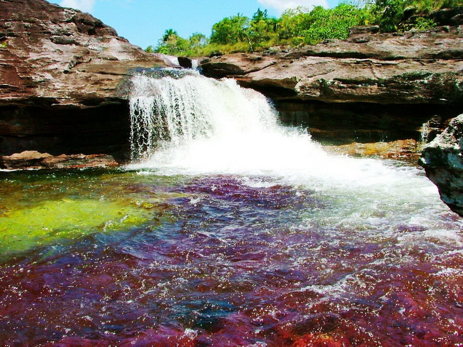 Beautiful Cano Cristales River – Pictures
