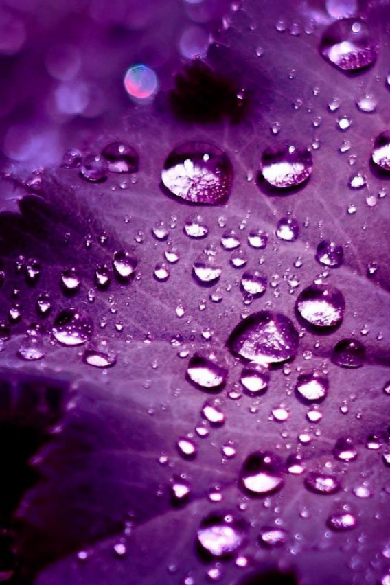 Drops iPhone Retina Wallpaper