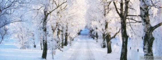 Beautiful Winter Facebook Cover Photos - The Wondrous Pics